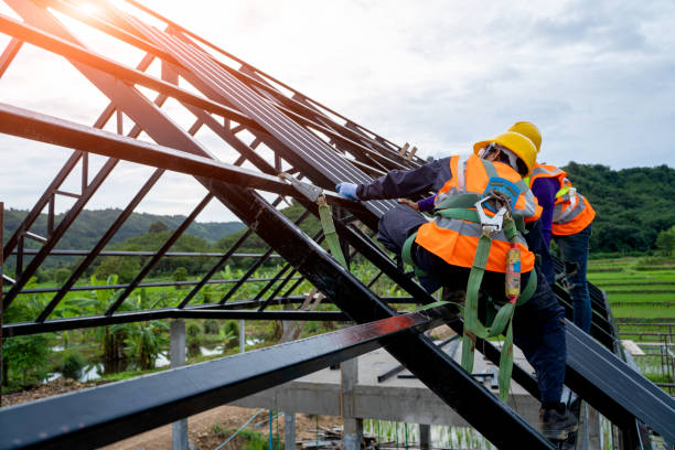 Best Metal Roofing Contractor  in Isanti, MN